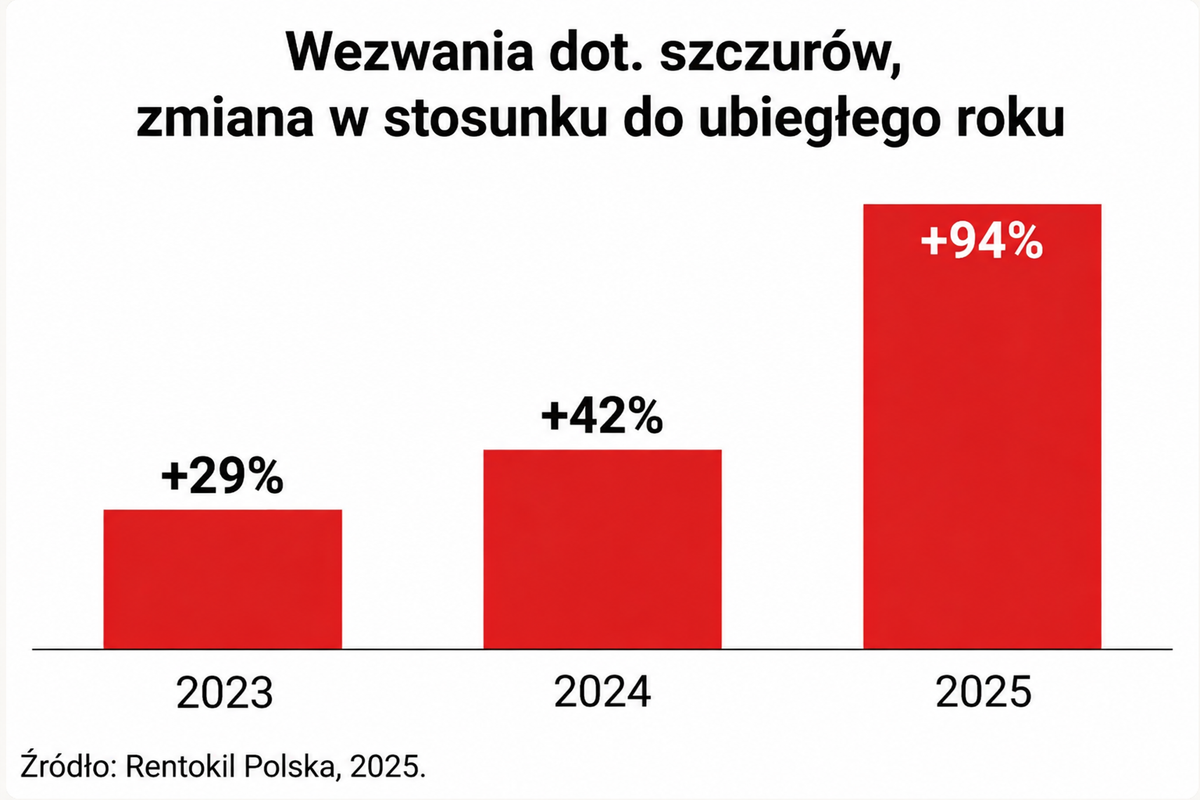 Jesienna aktywność gryzoni w pobliżu domów